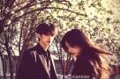 Đằng sau lời nhắn ‘Hoa sưa ở chùa Trấn Quốc đã nở trắng trời rồi’