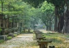Hà Nội có gì mà gây thương nhớ với cả người ở xa, chưa một lần từng đặt chân đến?