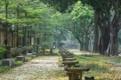 Hà Nội có gì mà gây thương nhớ với cả người ở xa, chưa một lần từng đặt chân đến?