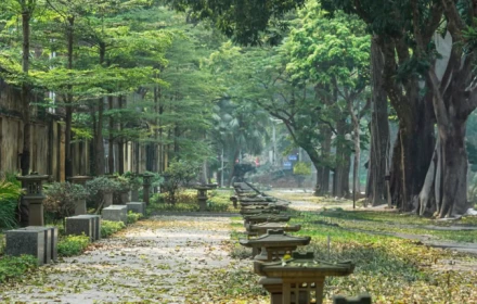 Hà Nội có gì mà gây thương nhớ với cả người ở xa, chưa một lần từng đặt chân đến?