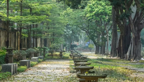 Hà Nội có gì mà gây thương nhớ với cả người ở xa, chưa một lần từng đặt chân đến?