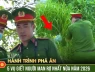 'Kinh thiên động địa’: 5 vụ giết người, cướp tài sản nửa đầu năm 2026