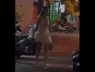 Clip ném gạch vào nhà dân ở TP.HCM: Á hậu Mỹ Duyên thừa nhận là người trong clip