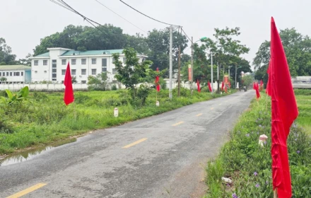 Sáp nhập thôn, tổ dân phố ở Hà Nội: Có một lực lượng được yêu cầu "không giảm người"