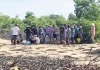 Danh tính bộ xương người trong rừng tràm ở Đà Nẵng: Công an đã xác định được nguyên nhân