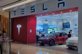 Doanh số xe Tesla liên tục sụt giảm, nhưng đây mới là điều khiến Elon Musk mừng như bắt được vàng