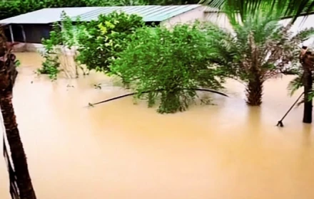 Mưa lớn xuyên đêm, hơn 70 hộ dân ở Bảo Lộc bị ngập, khẩn trương di dời