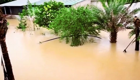 Mưa lớn xuyên đêm, hơn 70 hộ dân ở Bảo Lộc bị ngập, khẩn trương di dời