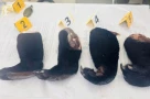Bị khởi tố vì vận chuyển 4 tay gấu và 1 túi mật gấu đi bán