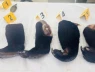 Bị khởi tố vì vận chuyển 4 tay gấu và 1 túi mật gấu đi bán
