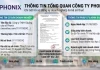 Công ty TNHH Quảng cáo số Phonix sự khởi đầu mới và mục tiêu phát triển bền vững