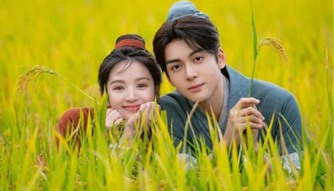 Tử vi tuần mới 3/8 - 9/8: Tuổi Tý đón chuyện tình cảm thăng hoa, Tuổi Dần nên cẩn trọng với biến động số dư