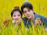Tử vi tuần mới 3/8 - 9/8: Tuổi Tý đón chuyện tình cảm thăng hoa, Tuổi Dần nên cẩn trọng với biến động số dư
