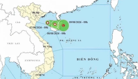 Áp thấp nhiệt đới hình thành trên Vịnh Bắc Bộ, gió giật cấp 8