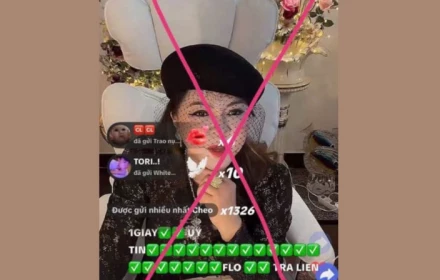 Từ hiện tượng Nguyễn Phương Hằng: Vì sao livestream càng gây tranh cãi càng dễ “bùng nổ”?
