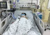Ba chị em nguy kịch sau 7 ngày ăn thịt chuột