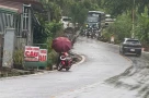 Phong tỏa rẫy cà phê, khám nghiệm nơi phát hiện thi thể nữ nhân viên thư viện mất tích gần 3 ngày