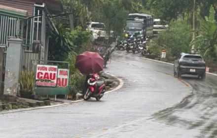 Phong tỏa rẫy cà phê, khám nghiệm nơi phát hiện thi thể nữ nhân viên thư viện mất tích gần 3 ngày