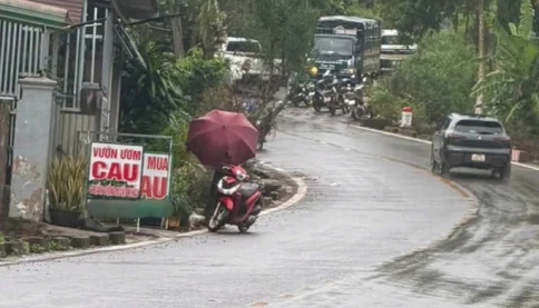 Phong tỏa rẫy cà phê, khám nghiệm nơi phát hiện thi thể nữ nhân viên thư viện mất tích gần 3 ngày