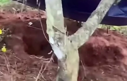 Diễn biến nóng vụ nữ nhân viên thư viện bị sát hại ở Đắk Lắk: Bắt giáo viên thể dục, lộ tình tiết trước án mạng