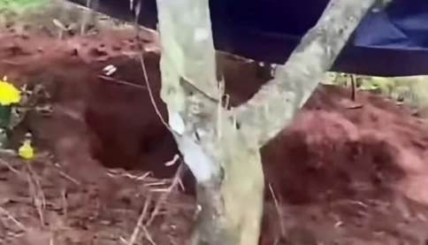 Diễn biến nóng vụ nữ nhân viên thư viện bị sát hại ở Đắk Lắk: Bắt giáo viên thể dục, lộ tình tiết trước án mạng
