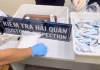 Từ 327 tuýp kem đánh răng đến hơn 500 nhánh ma túy: VN10 đã lần theo “dòng chảy” tội phạm thế nào?