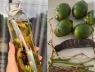 Chia sẻ công thức dân gian dễ làm giúp ngừa sâu răng, hôi miệng