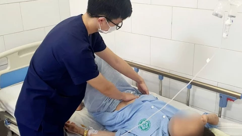 Hái me đất trong vườn cô đặc để uống, hậu quả suy thận cấp