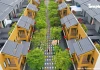 Vụ hiếp dâm nữ thực tập sinh Việt kiều Mỹ: Chính thức khởi tố bị can, rõ toàn bộ hành vi đốn mạt