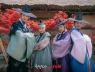 Tử vi tuần mới 24/8 - 30/8: Tuổi Tỵ có quan hệ xã hội mở đường, Tuổi Mùi cần kỹ càng thông tin