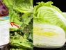 “Cải thảo nhúng formaldehyde”: Từ một chiếc xe tải đến cuộc truy tìm xuyên Trung Quốc