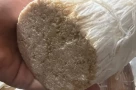 Cách chọn và sơ chế nấm kim châm