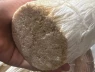 Cách chọn và sơ chế nấm kim châm