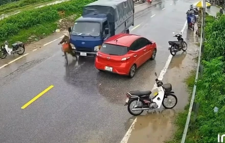Xe nào, ai có lỗi trong tình huống này?