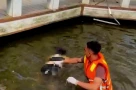 Phát hiện thi thể nữ kế toán Ban Quản lý dự án số 1 trên hồ Xuân Hương, Đà Lạt ‼️