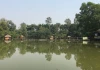 Từ tiếng súng ở hồ câu đến cuộc truy nã 11 năm: Hành trình sa lưới của kẻ bắn thiếu nữ 16 tuổi