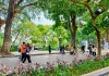 Miền Bắc nắng nhẹ trước khi đón không khí lạnh đầu mùa
