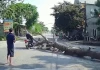 Cưa cây có người cảnh giới vẫn đổ trúng xe máy: Ai chịu trách nhiệm khi nạn nhân cũng chạy quá nhanh?