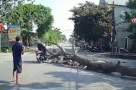 Cưa cây có người cảnh giới vẫn đổ trúng xe máy: Ai chịu trách nhiệm khi nạn nhân cũng chạy quá nhanh?