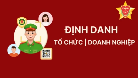 Cách đăng ký định danh tổ chức trên VNeID nhanh gọn