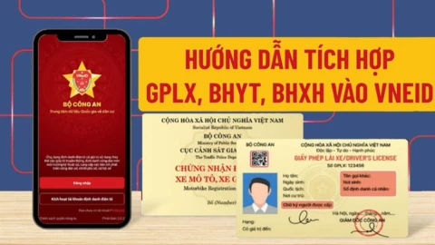 Giấy phép lái xe trên VNeID được sử dụng từ ngày 1/6