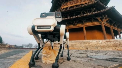 Trung Quốc dùng robot chó 6 chân làm "vệ sĩ" cho chùa gỗ nghìn năm tuổi
