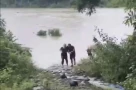 Nhanh trí và dũng cảm: Chủ quán cà phê phóng xe máy 500m đón đầu dòng nước để cứu bà cụ bị cuốn trôi