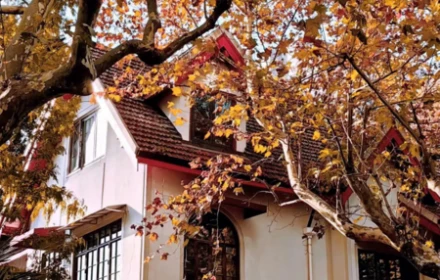 Bi kịch lớn nhất giữa anh chị em ruột không phải quay lưng với nhau, mà là 3 điều rất thực tế này