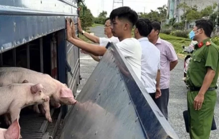 Đừng vì lợi nhuận mà đánh đổi sức khỏe cộng đồng!