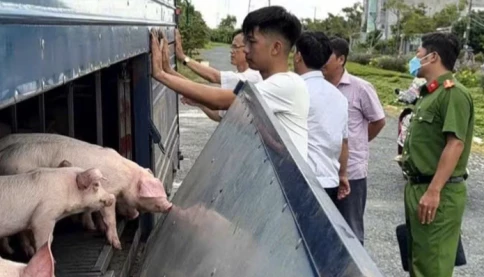 Đừng vì lợi nhuận mà đánh đổi sức khỏe cộng đồng!