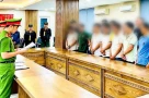 8 cán bộ phường bị đình chỉ công tác vì nhận hối lộ để bỏ qua sai phạm