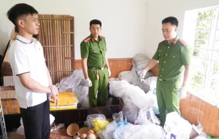 Bắt khẩn cấp Nguyễn Tiến Phi sinh năm 2004 ở Nghệ An, thu giữ gì khi khám xét nơi ở?