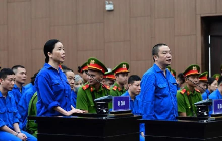 VKS đề nghị đến 20 năm tù với cựu viện trưởng và 30 năm tù cho 'bà trùm' Mai Anh  vụ Viện Pháp y tâm thần