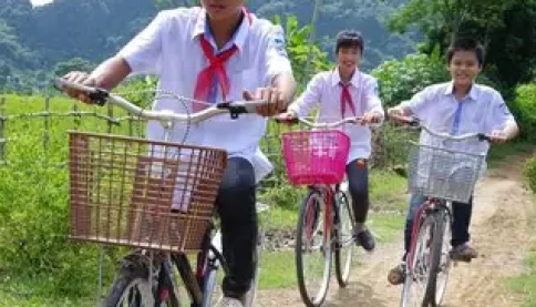 Nếu phát hiện trường học lạm thu phải công khai cơ sở vi phạm trong vòng 3 ngày và xem xét trách nhiệm hiệu trưởng